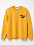 Load image into Gallery viewer, PROMO ONLY FLEECE CREWNECK