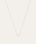 Load image into Gallery viewer, 2 DIAMOND AMIGOS NECKLACE
