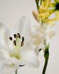Load image into Gallery viewer, NO. 05 KANDILLI PERFUME OIL
