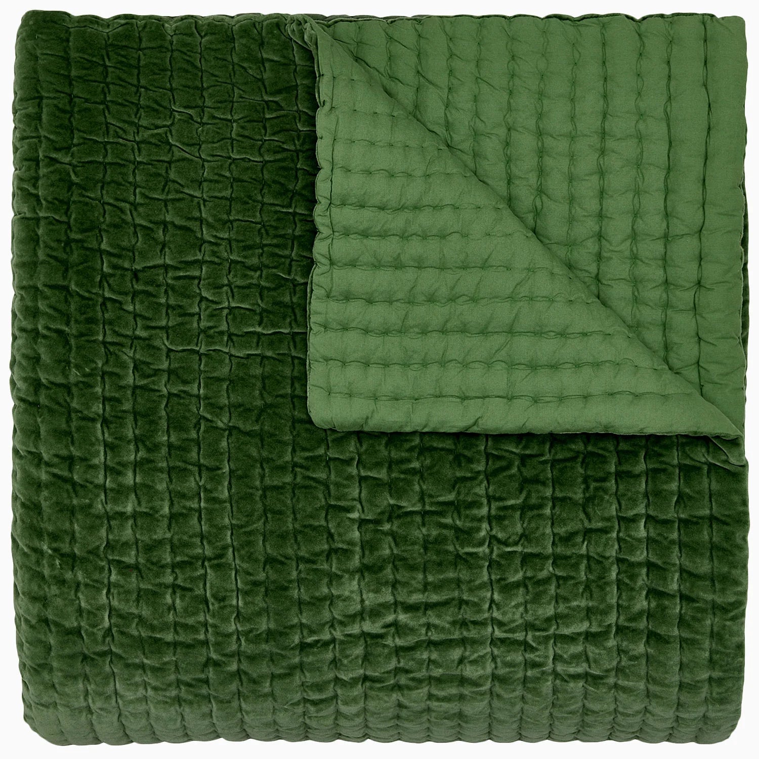 VELVET MOSS QUILT - TWIN/TWIN XL