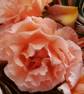 Load image into Gallery viewer, JASMINE & DAMASK ROSE BAR SOAP

