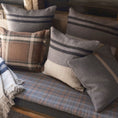 Load image into Gallery viewer, BLACK HOUSE STRIPE PILLOW COVER

